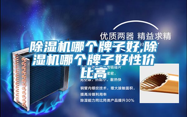 91免费网站在线观看哪个牌子好,91免费网站在线观看哪个牌子好性价比高