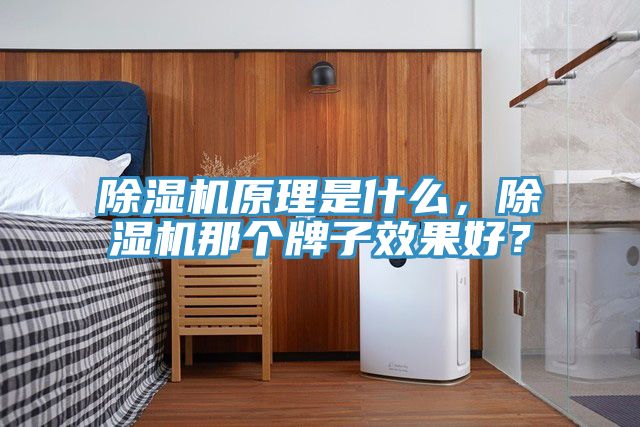 91免费网站在线观看原理是什么，91免费网站在线观看那个牌子效果好？