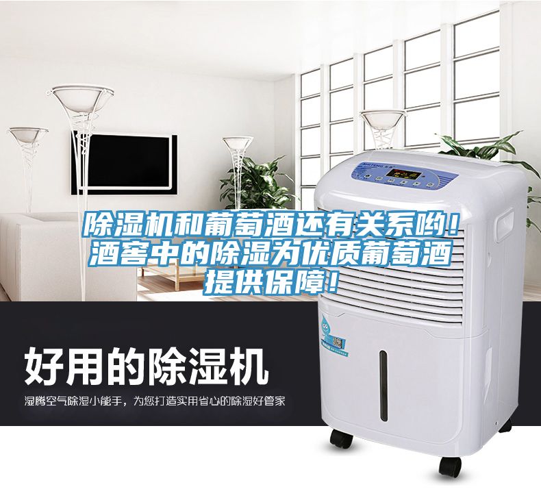 91免费网站在线观看和葡萄酒还有关系哟！酒窖中的除湿为优质葡萄酒提供保障！