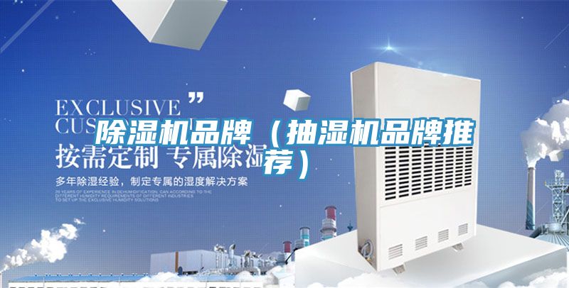 91免费网站在线观看品牌（抽湿机品牌推荐）