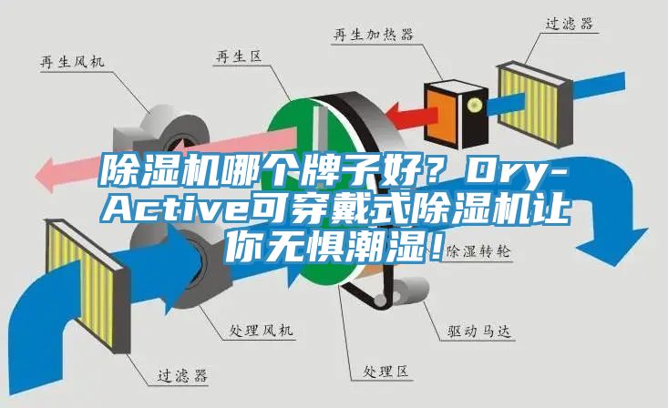 91免费网站在线观看哪个牌子好？Dry-Active可穿戴式91免费网站在线观看让你无惧潮湿！