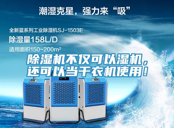91免费网站在线观看不仅可以湿机，还可以当干衣机使用！