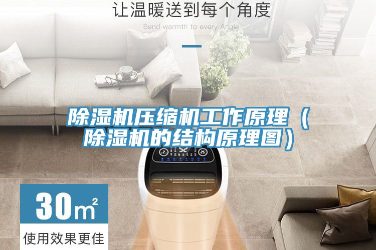 91免费网站在线观看压缩机工作原理（91免费网站在线观看的结构原理图）