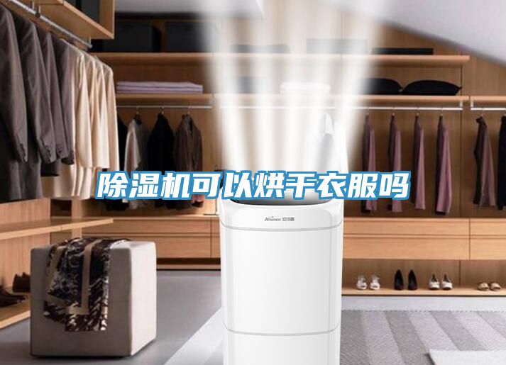91免费网站在线观看可以烘干衣服吗