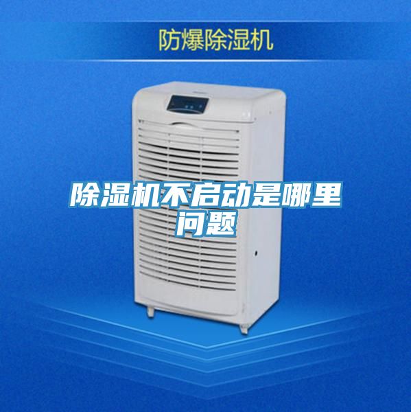 91免费网站在线观看不启动是哪里问题
