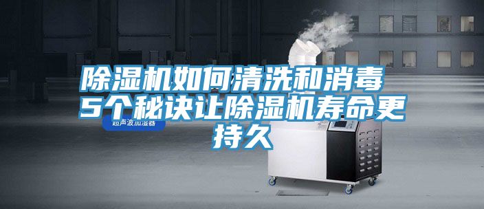 91免费网站在线观看如何清洗和消毒 5个秘诀让91免费网站在线观看寿命更持久