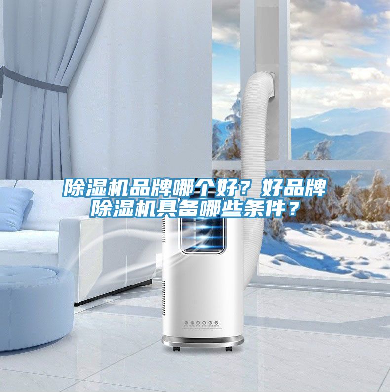 91免费网站在线观看品牌哪个好？好品牌91免费网站在线观看具备哪些条件？