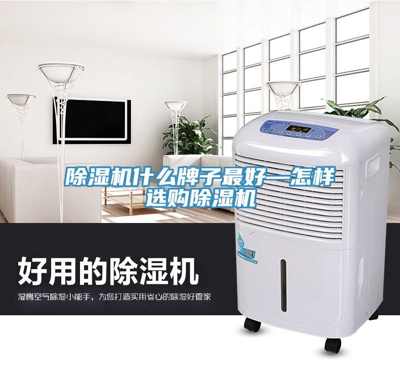 91免费网站在线观看什么牌子最好—怎样选购91免费网站在线观看