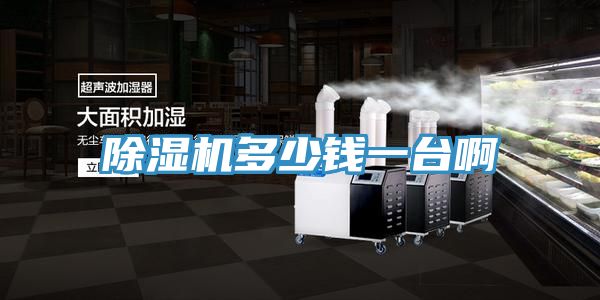 91免费网站在线观看多少钱一台啊