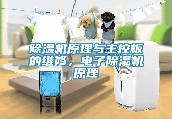 91免费网站在线观看原理与主控板的维修，电子91免费网站在线观看原理