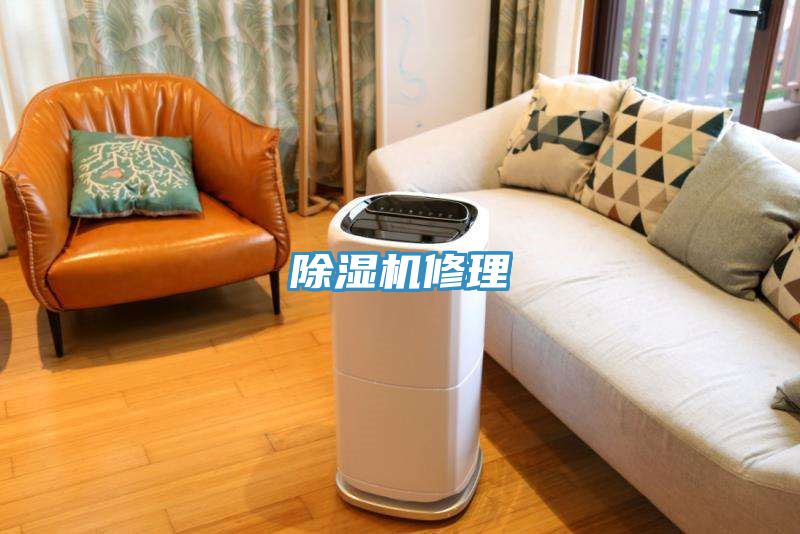 91免费网站在线观看修理