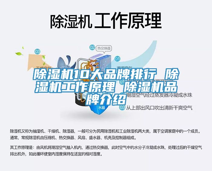 91免费网站在线观看10大品牌排行 91免费网站在线观看工作原理 91免费网站在线观看品牌介绍