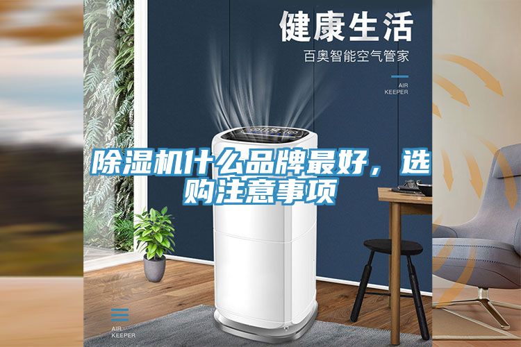 91免费网站在线观看什么品牌最好，选购注意事项