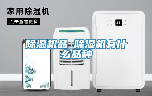 91免费网站在线观看品_91免费网站在线观看有什么品种