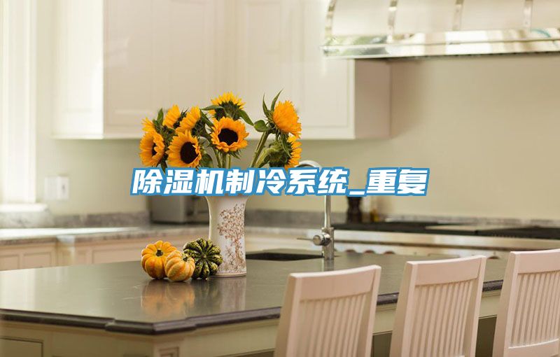 91免费网站在线观看制冷系统_重复