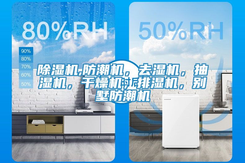 91免费网站在线观看,防潮机，去湿机，抽湿机，干燥机，排湿机，别墅防潮机