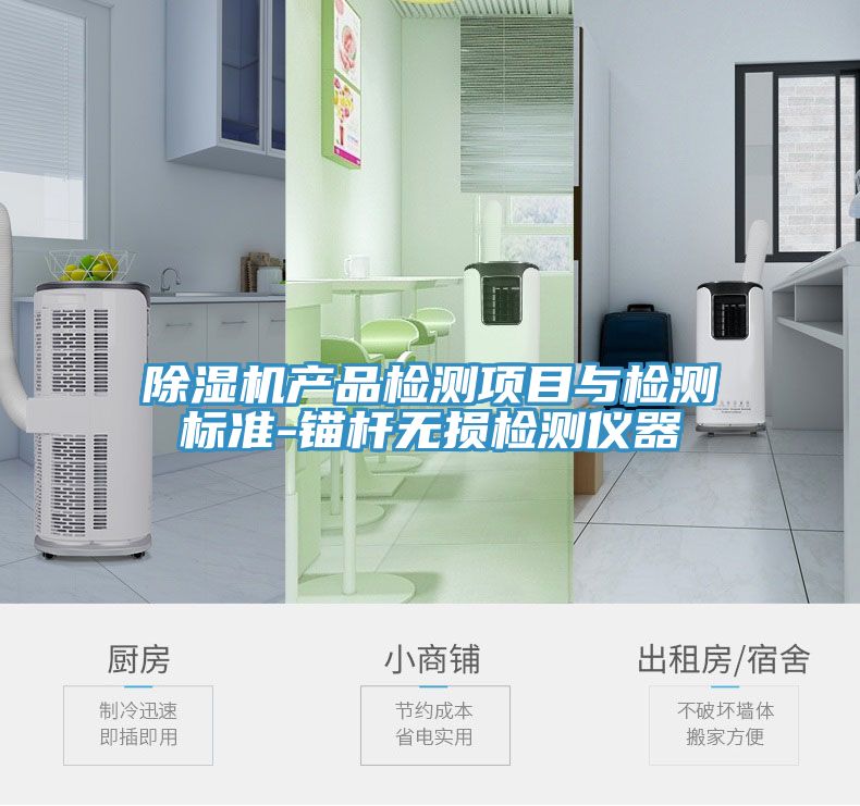 91免费网站在线观看产品检测项目与检测标准-锚杆无损检测仪器