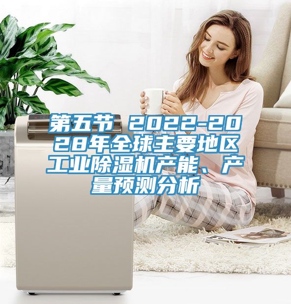 第五节 2022-2028年全球主要地区工业91免费网站在线观看产能、产量预测分析
