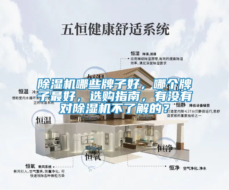 91免费网站在线观看哪些牌子好，哪个牌子最好，选购指南，有没有对91免费网站在线观看不了解的？