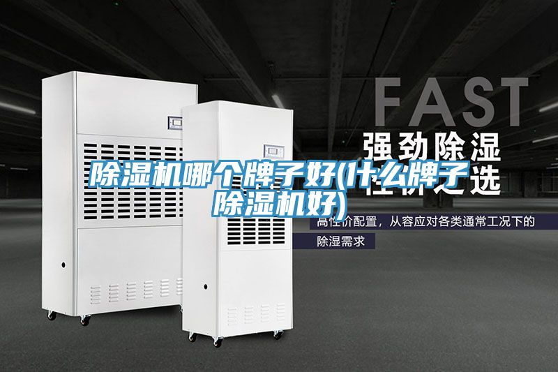 91免费网站在线观看哪个牌子好(什么牌子91免费网站在线观看好)