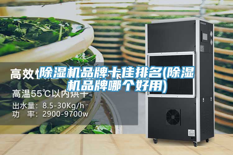 91免费网站在线观看品牌十佳排名(91免费网站在线观看品牌哪个好用)