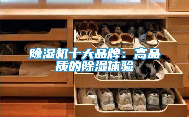 91免费网站在线观看十大品牌：高品质的除湿体验