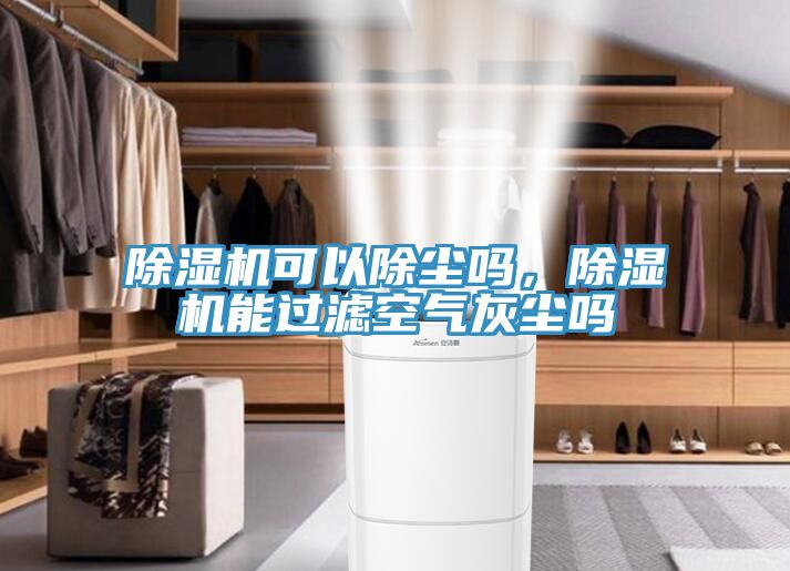 91免费网站在线观看可以除尘吗，91免费网站在线观看能过滤空气灰尘吗