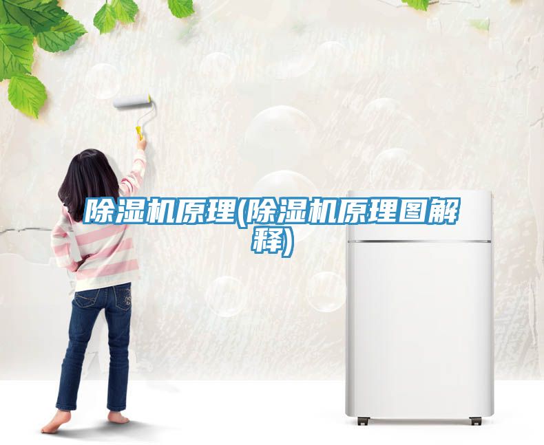 91免费网站在线观看原理(91免费网站在线观看原理图解释)