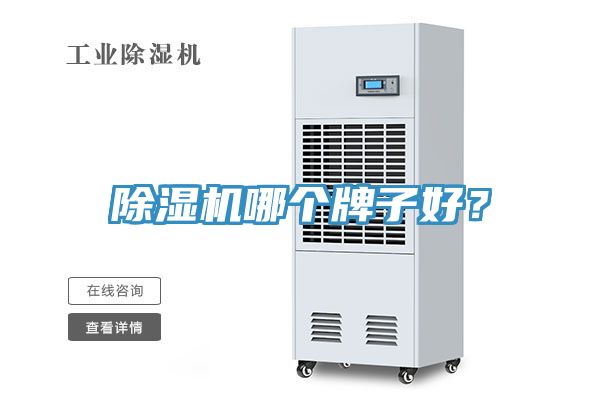 91免费网站在线观看哪个牌子好？