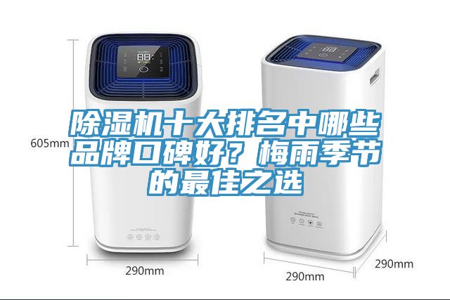 91免费网站在线观看十大排名中哪些品牌口碑好？梅雨季节的最佳之选