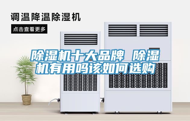 91免费网站在线观看十大品牌 91免费网站在线观看有用吗该如何选购