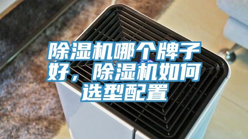 91免费网站在线观看哪个牌子好，91免费网站在线观看如何选型配置