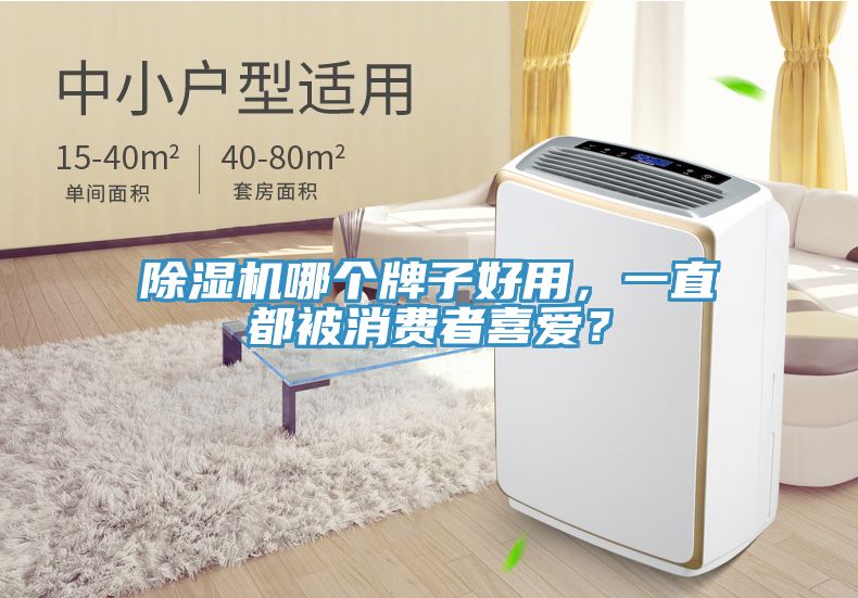 91免费网站在线观看哪个牌子好用，一直都被消费者喜爱？