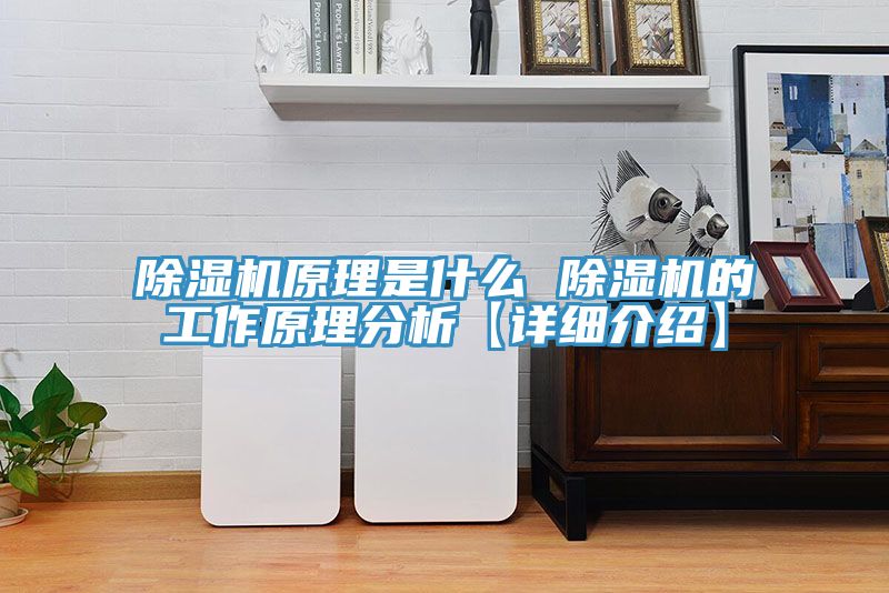 91免费网站在线观看原理是什么 91免费网站在线观看的工作原理分析【详细介绍】