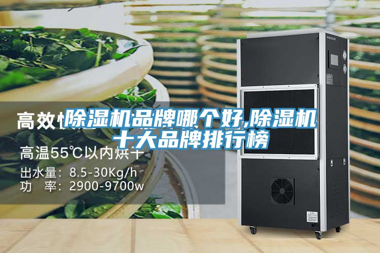 91免费网站在线观看品牌哪个好,91免费网站在线观看十大品牌排行榜