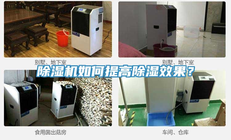 91免费网站在线观看如何提高除湿效果？