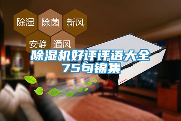 91免费网站在线观看好评评语大全75句锦集
