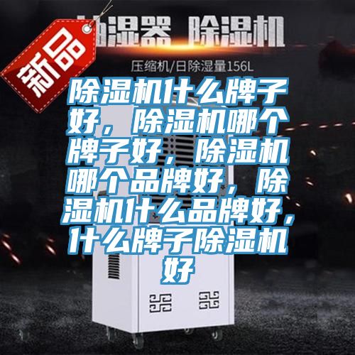 91免费网站在线观看什么牌子好，91免费网站在线观看哪个牌子好，91免费网站在线观看哪个品牌好，91免费网站在线观看什么品牌好，什么牌子91免费网站在线观看好