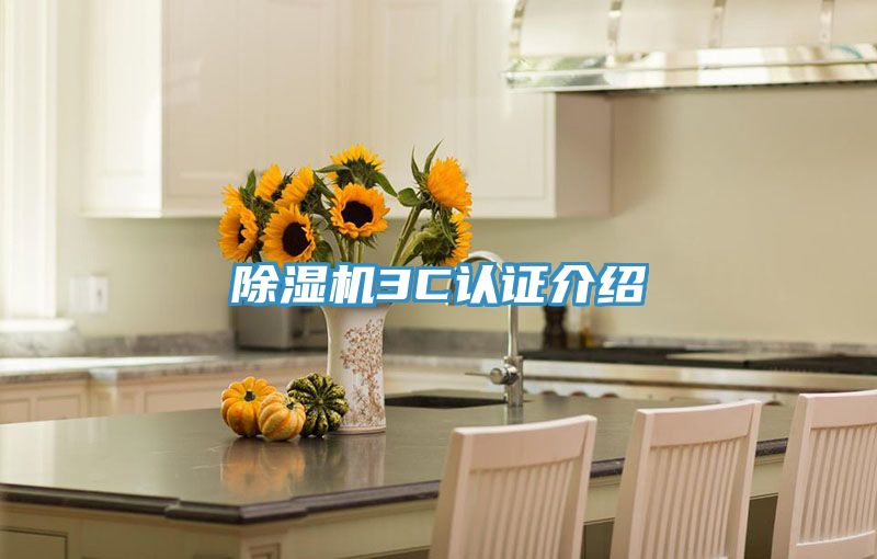 91免费网站在线观看3C认证介绍