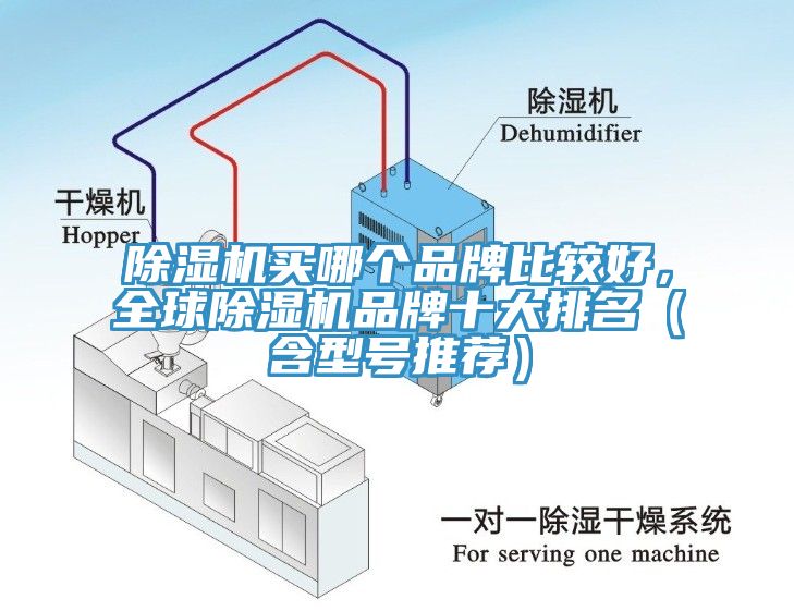 91免费网站在线观看买哪个品牌比较好，全球91免费网站在线观看品牌十大排名（含型号推荐）