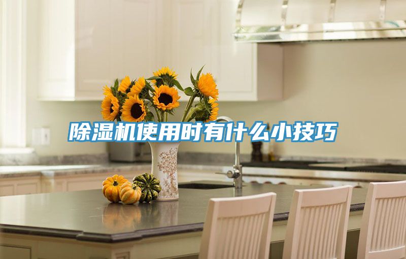 91免费网站在线观看使用时有什么小技巧