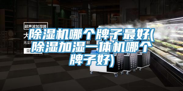 91免费网站在线观看哪个牌子最好(除湿加湿一体机哪个牌子好)