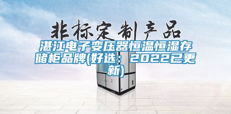 湛江电子变压器恒温恒湿存储柜品牌(好选：2022已更新)