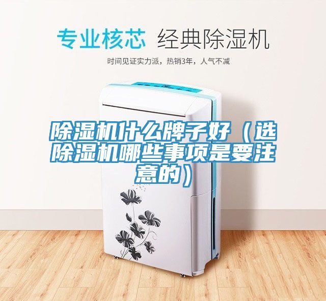 91免费网站在线观看什么牌子好（选91免费网站在线观看哪些事项是要注意的）