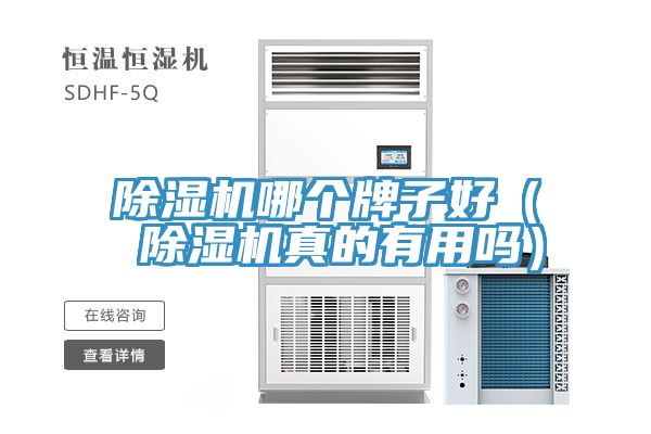 91免费网站在线观看哪个牌子好（ 91免费网站在线观看真的有用吗）