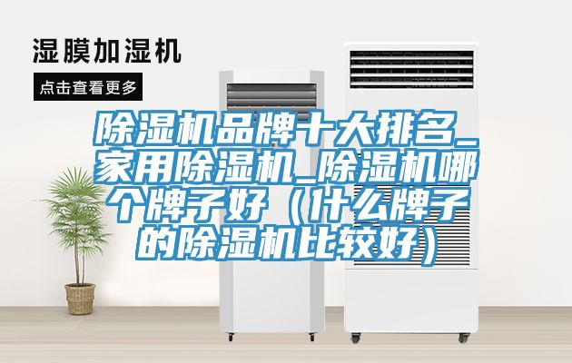 91免费网站在线观看品牌十大排名_家用91免费网站在线观看_91免费网站在线观看哪个牌子好（什么牌子的91免费网站在线观看比较好）
