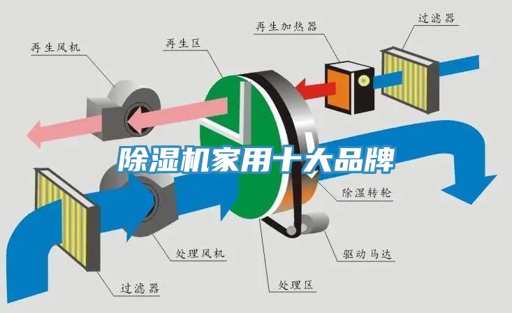 91免费网站在线观看家用十大品牌