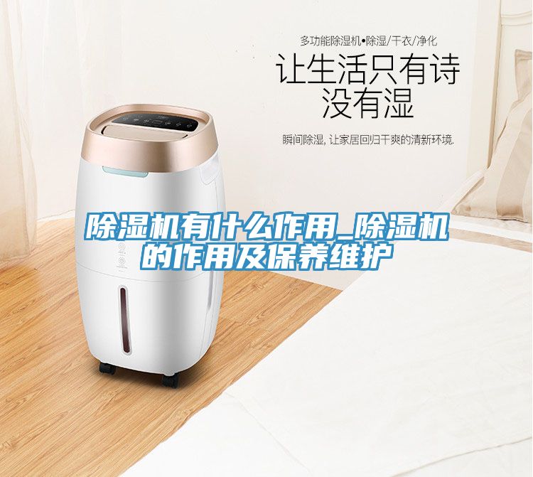 91免费网站在线观看有什么作用_91免费网站在线观看的作用及保养维护