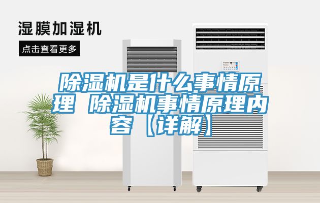 91免费网站在线观看是什么事情原理 91免费网站在线观看事情原理内容【详解】