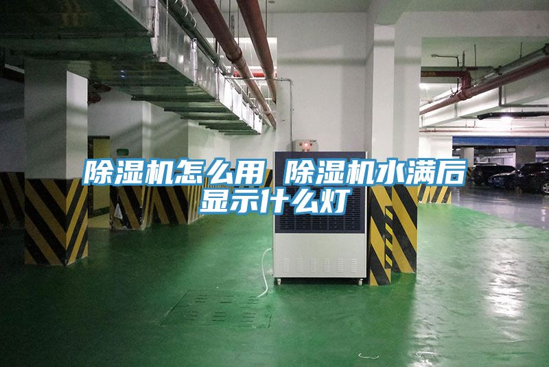 91免费网站在线观看怎么用 91免费网站在线观看水满后显示什么灯